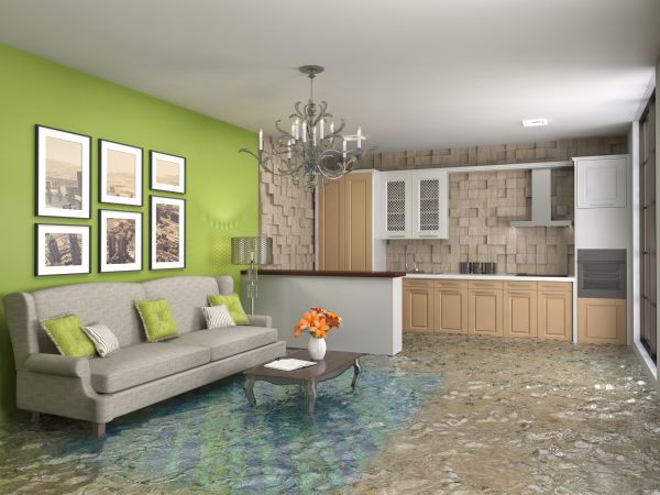 Wet Carpet Drying in Novi