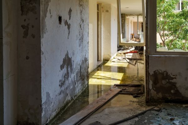 Water Removal Service in Novi