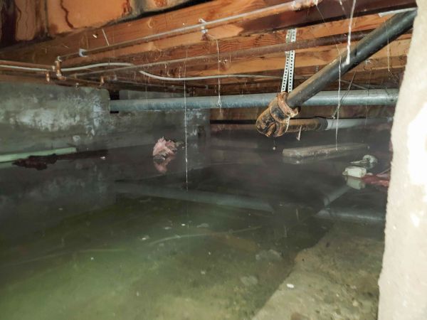 Water Mitigation Service in Novi