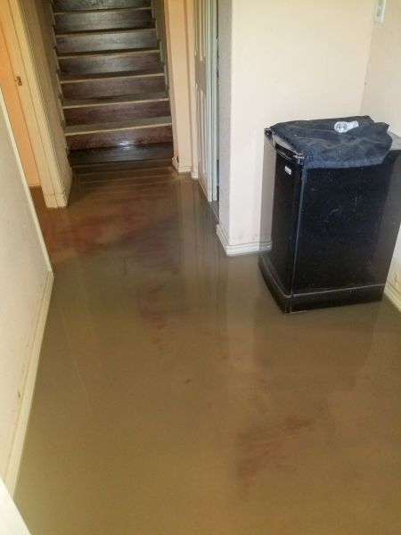 Emergency Water Removal in Novi