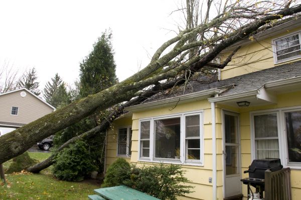 Hurricane Damage Repair in Novi